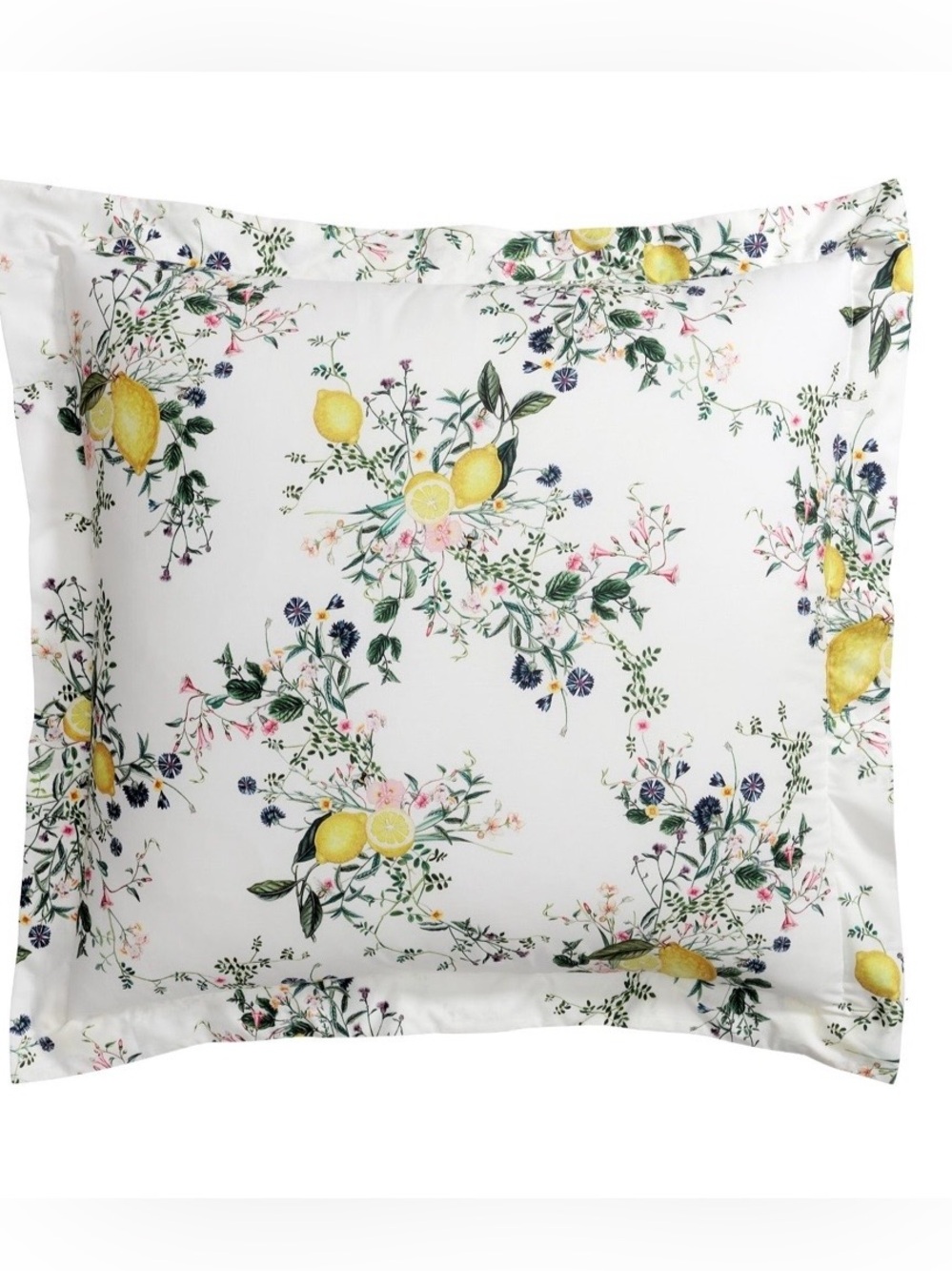 Monique Lhuillier Positano Percale Euro Sham Pottery Barn